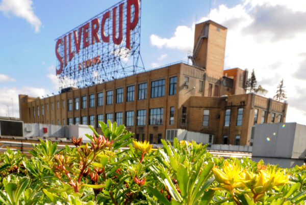 Hackman Capital - Silvercup Planting News