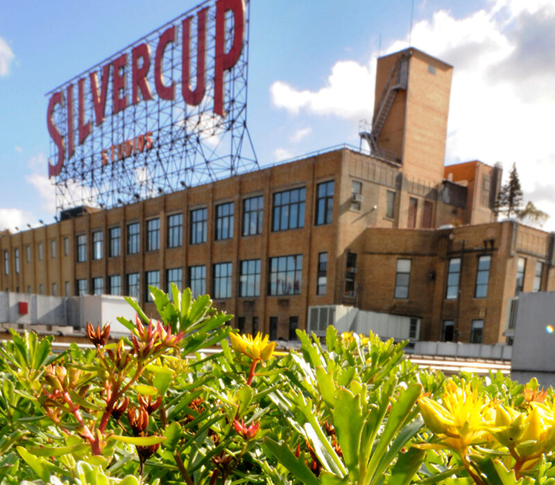 Hackman Capital - Silvercup Planting News